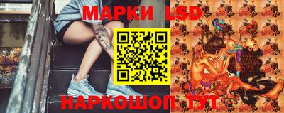 mdpv Краснознаменск