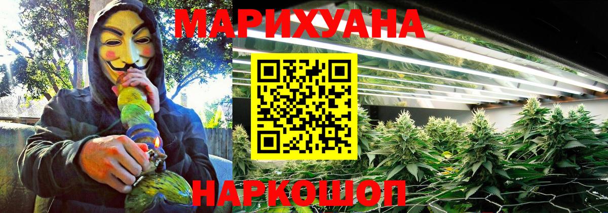 Бошки марихуана план Коряжма